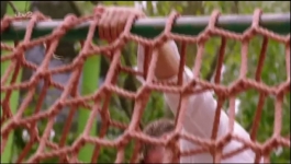 Love Island - Season 09 Episode 52